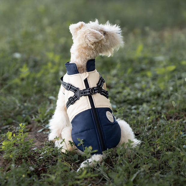 Pet Dog Windproof Chest Back Integrated Cloth